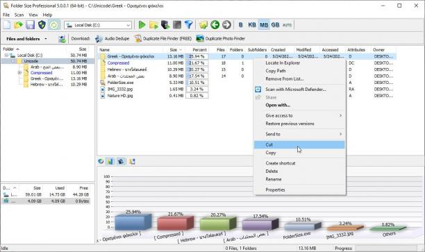 MindGems Folder Size Professional sc.jpg