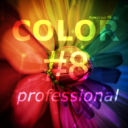 Franzis COLOR Professional.png