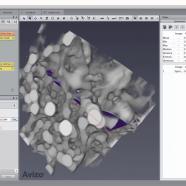 Avizo Trueput Software sc.jpg