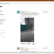 NinjaTok (TikTok bot) sc.jpg