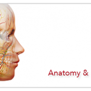 banner_anatomy-physiology.png