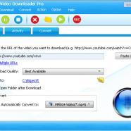 Bigasoft Video Downloader Pro screen.jpg