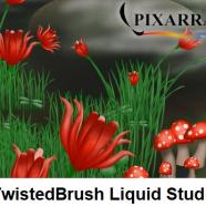 Pixarra TwistedBrush Liquid Studio.jpg