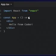 Coder OSS Enterprise sc.jpg