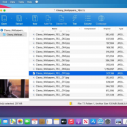 Bandizip Archiver  macOS.png