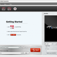 Tipard PDF to Word Converter screen.png
