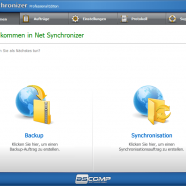 Net Synchronizer Professional sc.png