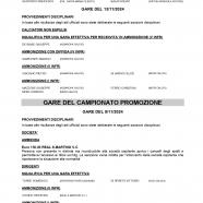 CU48-2024-2025-del-14.11.2024-11-16_page-0003.jpg