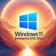 Windows 11 Enterprise LTSC 24H2.jpg