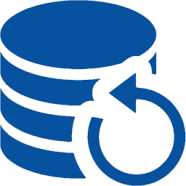 perfect-backup-icon.png