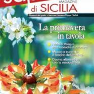0048b120_medium.jpg