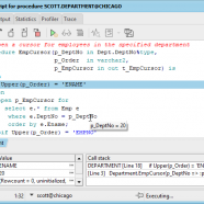Allround Automations PL-SQL Developer.png