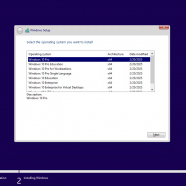 Windows 10 22H2 build 19045.5555 8in1sc1.png