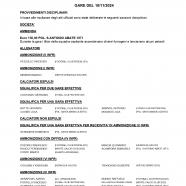 CU48-2024-2025-del-14.11.2024-11-16_page-0002.jpg