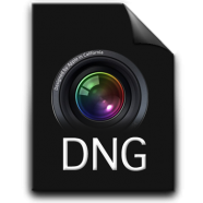 dng.png