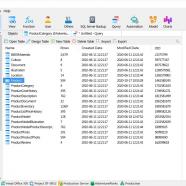 Navicat for SQL Server screen.jpg