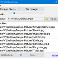 VovSoft Blur Multiple Images screen.png