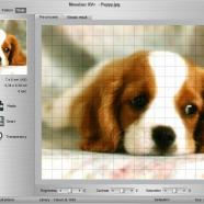 Mosaizer screen.jpg