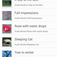 Music Folder Player Full sc.png