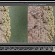 DxO PureRAW screen.png