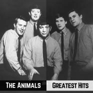 animals.jpg