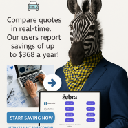 zebraa.png
