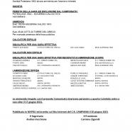 comunicato-ufficiale-n.-104-2020-2021-1_pages-to-jpg-0008.jpg