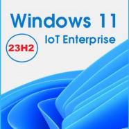 Windows 11 IoT Enterprise 23H2.jpg