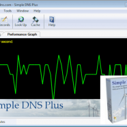 Simple DNS Plus screen.png