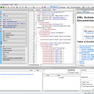 XML ValidatorBuddy screen.png