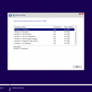 Windows 11 22H2 10i,1.png