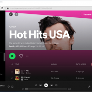 Pazu Spotify Music Converter sc.png