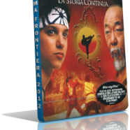 karate kid 2 mkv.png