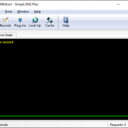 Simple DNS Plus sc.png