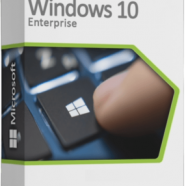 Windows 10 Enterprise.png