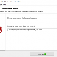 Recovery Toolbox for Word screen.png