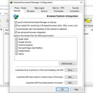 Internet Download Manager screen.png