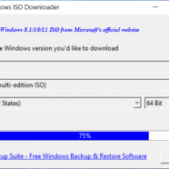 Hasleo Windows ISO Downloader sc.png