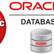 Oracle Database Data Guard Administration (12c and 19c).jpg