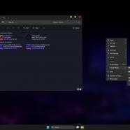 Windows 11 Pro Lite sc.jpg