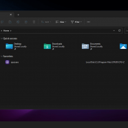 Windows 11 Pro Lite screen.png