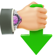 Internet Download Accelerator Pro.png