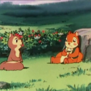 vlcsnap-2019-11-14-03h41m22s982.png