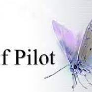 Exif Pilot.jpg