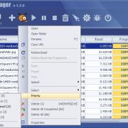 Ant Download Manager screen.jpg