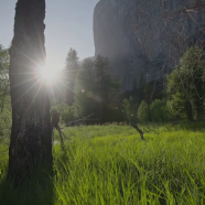 vlcsnap-2026-10-23-14h53m59s829.png
