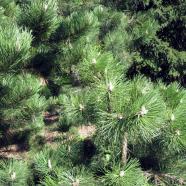 IMG_0192.jpg