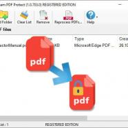 AssistMyTeam PDF Protector screen.jpg