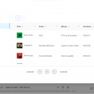 Ondesoft Deezer Music Converter sc.png