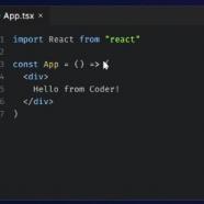 Coder OSS Enterprise screen.jpg